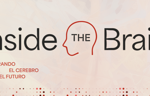Inside the brain